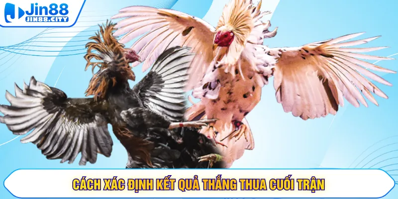 Cách xác định kết quả thắng thua cuối trận