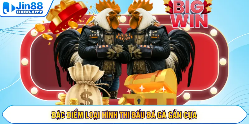 Đặc điểm loại hình thi đấu đá gà gắn cựa