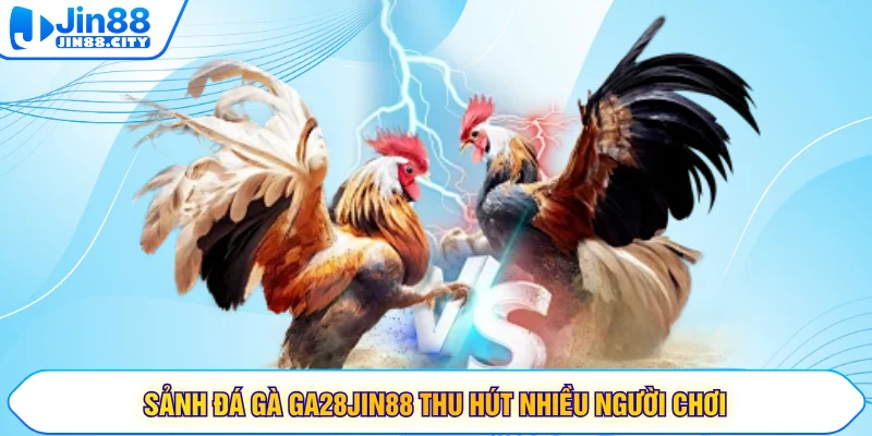 Sảnh đá gà GA28JIN88 thu hút nhiều người chơi